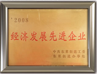 經(jīng)濟發(fā)展先進企業(yè)